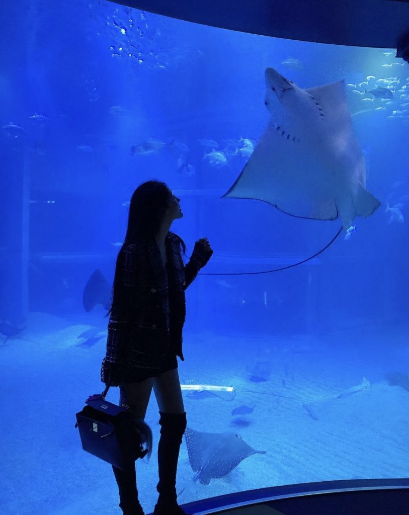 伦敦外围美知名高校毕业生相关配图