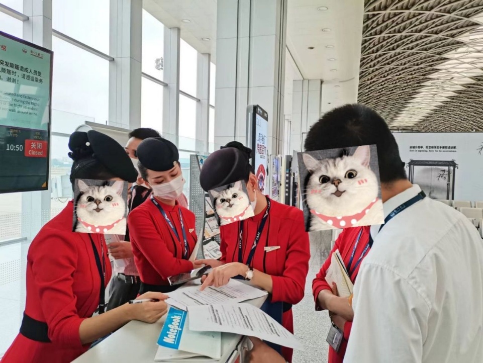 深圳外围川航空姐相关配图