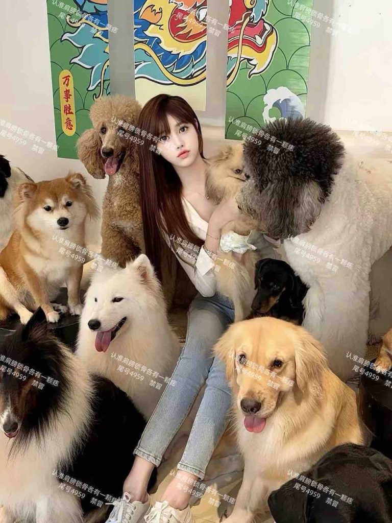深圳外围 05年艺术学院在校生🍑短期兼职相关配图
