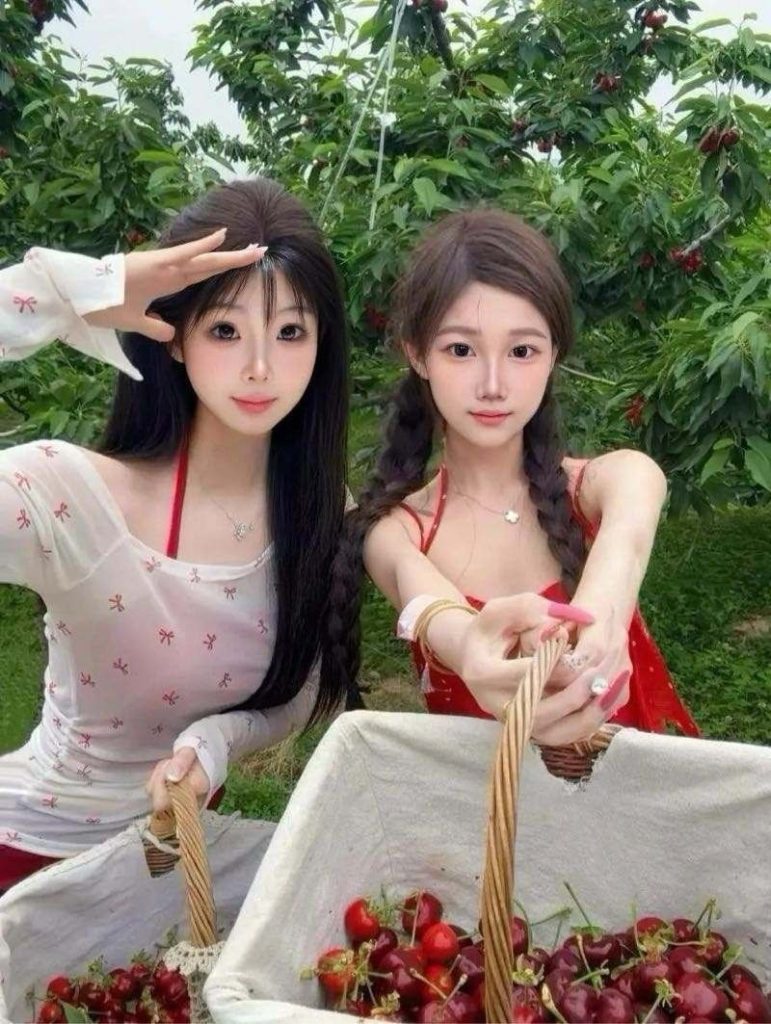 北京外围 极品姐妹花奶豆糖糖相关配图
